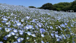 関東デートスポット